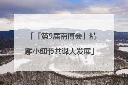 「第9届南博会」精雕小细节共谋大发展