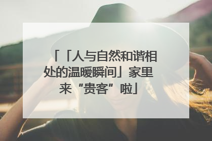 「人与自然和谐相处的温暖瞬间」家里来“贵客”啦