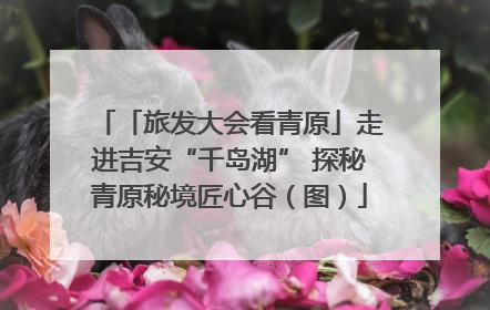 「旅发大会看青原」走进吉安“千岛湖” 探秘青原秘境匠心谷（图）
