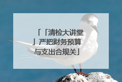 「清检大讲堂」严把财务预算与支出合规关