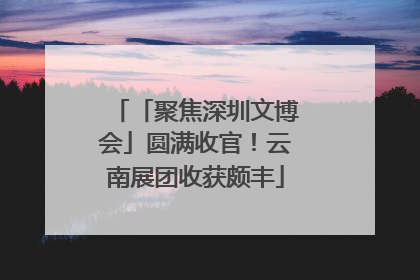 「聚焦深圳文博会」圆满收官！云南展团收获颇丰