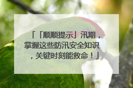 「顺顺提示」汛期，掌握这些防汛安全知识，关键时刻能救命！