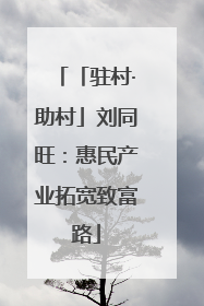 「驻村·助村」刘同旺：惠民产业拓宽致富路
