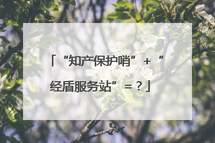 “知产保护哨”+“经盾服务站”=？
