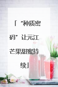 “种质密码”让元江芒果甜蜜持续