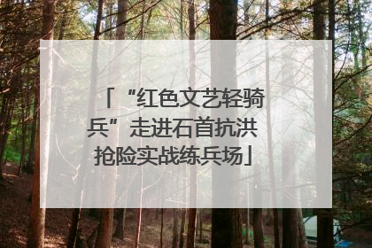 “红色文艺轻骑兵”走进石首抗洪抢险实战练兵场