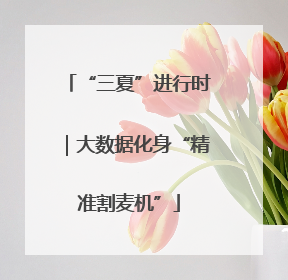 “三夏”进行时｜大数据化身“精准割麦机”