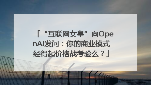 “互联网女皇”向OpenAI发问：你的商业模式经得起价格战考验么？