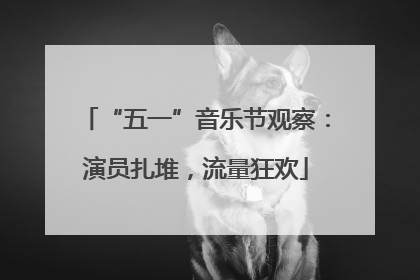 “五一”音乐节观察：演员扎堆，流量狂欢