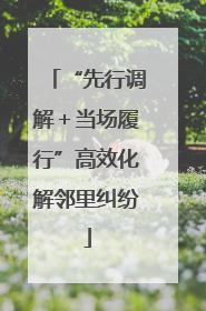 “先行调解＋当场履行”高效化解邻里纠纷