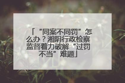 “同案不同罚”怎么办？湘阴行政检察监督着力破解“过罚不当”难题