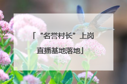 “名誉村长”上岗 直播基地落地