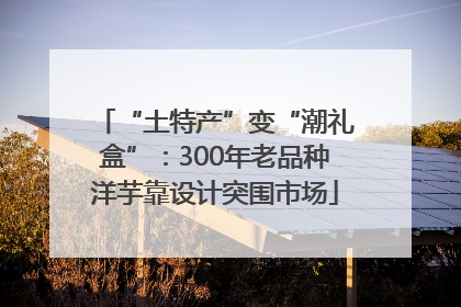 “土特产”变“潮礼盒”：300年老品种洋芋靠设计突围市场