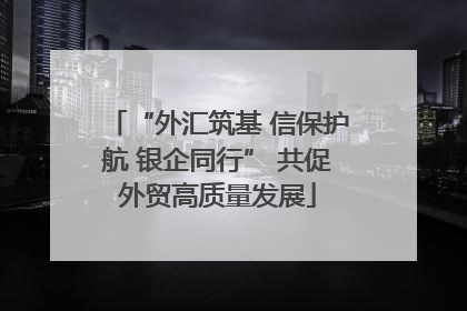 “外汇筑基 信保护航 银企同行” 共促外贸高质量发展