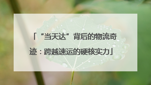 “当天达”背后的物流奇迹：跨越速运的硬核实力