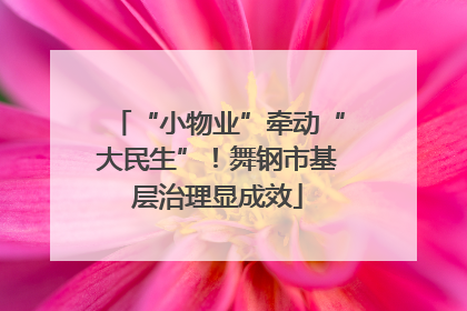 “小物业”牵动“大民生”！舞钢市基层治理显成效