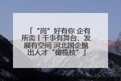 “岗”好有你 企有所需丨干事有舞台、发展有空间 河北国企抛出人才“橄榄枝”