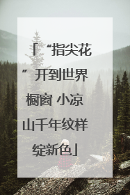 “指尖花”开到世界橱窗 小凉山千年纹样绽新色
