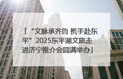 “文脉承齐鲁 携手赴东平”2025东平湖文旅走进济宁推介会圆满举办