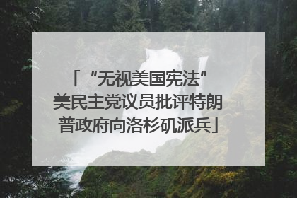 “无视美国宪法” 美民主党议员批评特朗普政府向洛杉矶派兵