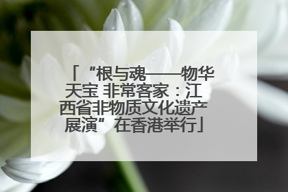 “根与魂——物华天宝 非常客家：江西省非物质文化遗产展演”在香港举行