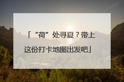 “荷”处寻夏？带上这份打卡地图出发吧