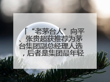 “老茅台人”向平、张贵超获推荐为茅台集团副总经理人选，后者是集团最年轻党委委员