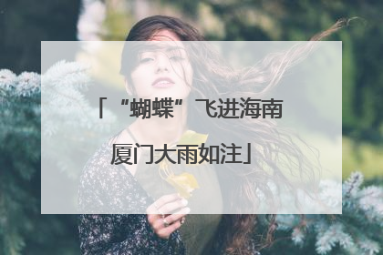 “蝴蝶”飞进海南 厦门大雨如注