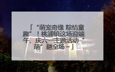 “萌宠奇缘 粽情童趣”！桃浦镇这场迎端午、庆六一主题活动“萌”翻全场～