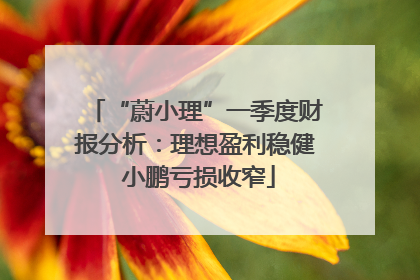 “蔚小理”一季度财报分析：理想盈利稳健 小鹏亏损收窄