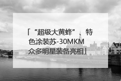 “超级大黄蜂”、特色涂装苏-30MKM 众多明星装备亮相