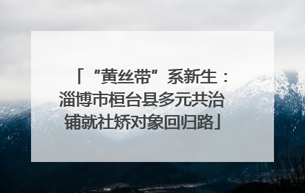 “黄丝带”系新生：淄博市桓台县多元共治铺就社矫对象回归路