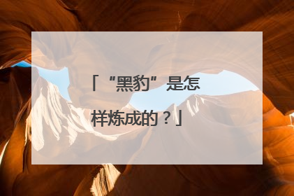 “黑豹”是怎样炼成的？