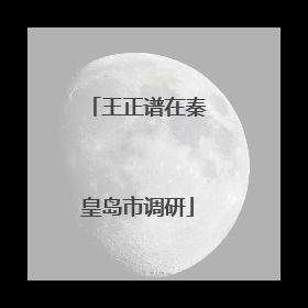 王正谱在秦皇岛市调研