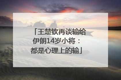 王楚钦再谈输给伊朗14岁小将：都是心理上的输