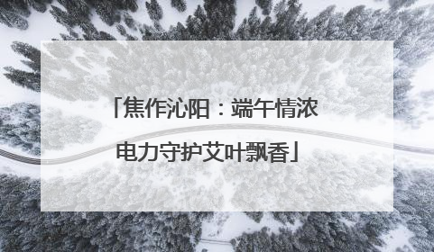 焦作沁阳：端午情浓 电力守护艾叶飘香