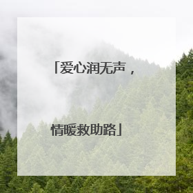 爱心润无声，情暖救助路