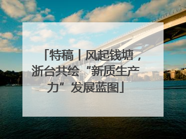 特稿丨风起钱塘，浙台共绘“新质生产力”发展蓝图