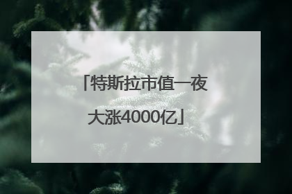 特斯拉市值一夜大涨4000亿