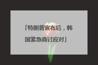 特朗普宣布后，韩国紧急商讨应对