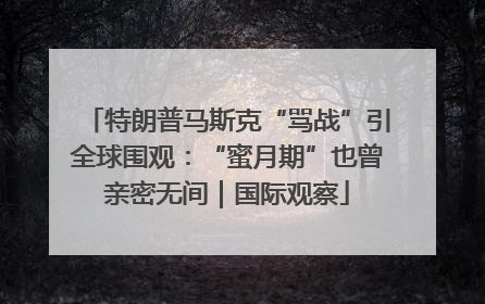 特朗普马斯克“骂战”引全球围观：“蜜月期”也曾亲密无间｜国际观察