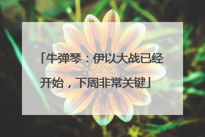 牛弹琴：伊以大战已经开始，下周非常关键