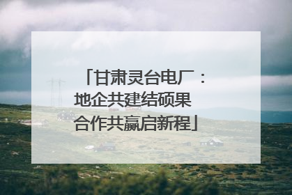 甘肃灵台电厂：地企共建结硕果 合作共赢启新程