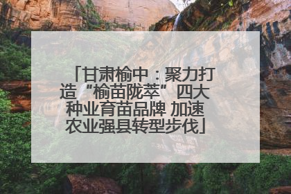 甘肃榆中：聚力打造“榆苗陇萃”四大种业育苗品牌 加速农业强县转型步伐