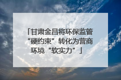 甘肃金昌将环保监管“硬约束”转化为营商环境“软实力”