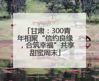 甘肃：300青年相聚“信约良缘，合筑幸福”共享甜蜜周末