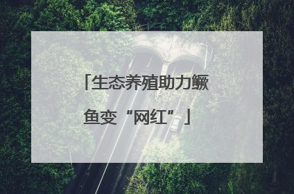生态养殖助力鳜鱼变“网红”