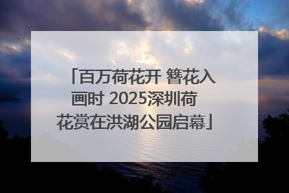 百万荷花开 簪花入画时 2025深圳荷花赏在洪湖公园启幕
