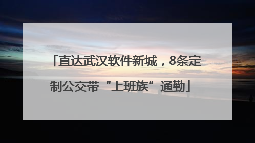 直达武汉软件新城，8条定制公交带“上班族”通勤