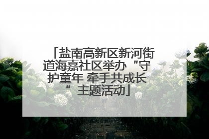 盐南高新区新河街道海嘉社区举办“守护童年 牵手共成长”主题活动